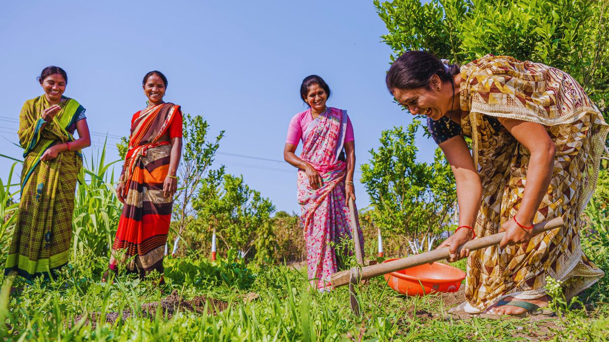 Eruvaka Festival (Eruvaka Pournami)